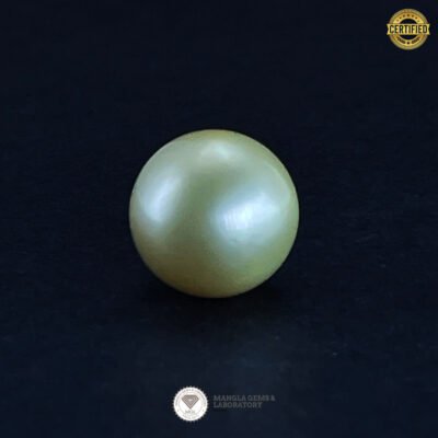 Pearl(मोती) - 8.80carat/9.77ratti