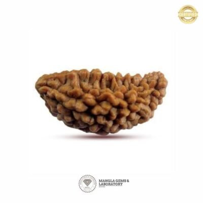 1 Mukhi Rudraksh (Nepali)   RD1F-IN-LP-101