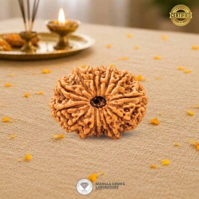 13 mukhi nepali rudraksh, natural certified rudraksh