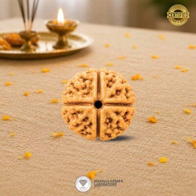 4 mukhi rudraksh, certified rurdaksh