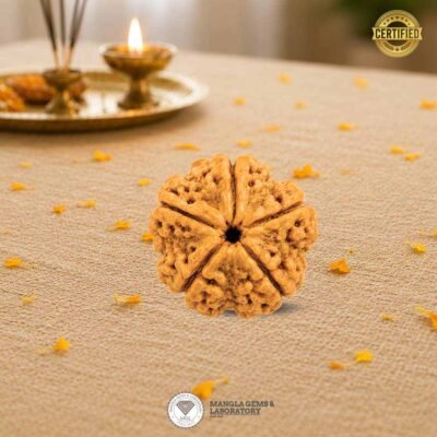 5 mukhi rudraksh, certified rurdaksh