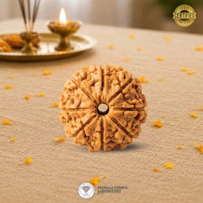 8 mukhi rudraksh nepali, certified rudraksh