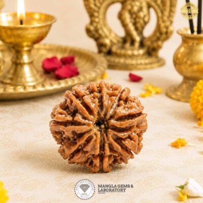 8 mukhi nepali rudraksha, natural certified nepali rudraksha,