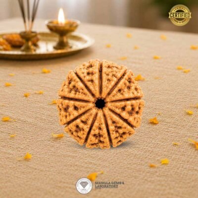 9 mukhi rudraksh nepali, certified rudraksh