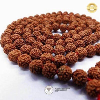 Rudraksh Mala 108 Beads RD-IN-ML-103