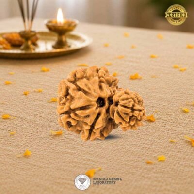 garbh gauri rudraksh nepali , certifiacte rudraksh