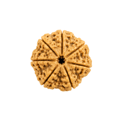 1-7 Mukhi
