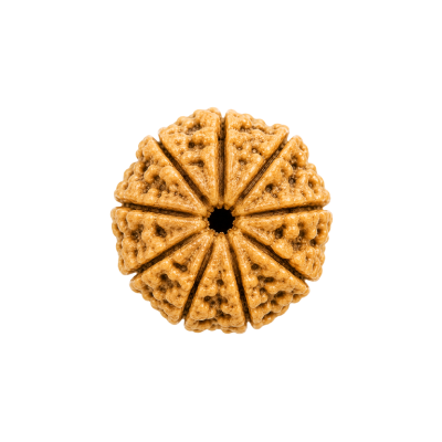 9 Mukhi