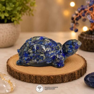 lapiz lazuli tortoise, lazawat kachhua