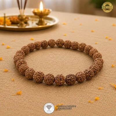 rudrakssh bracelet, 8mm size natural certified rudraksh bracelet, indonesia rudraksh bracelet bracelet